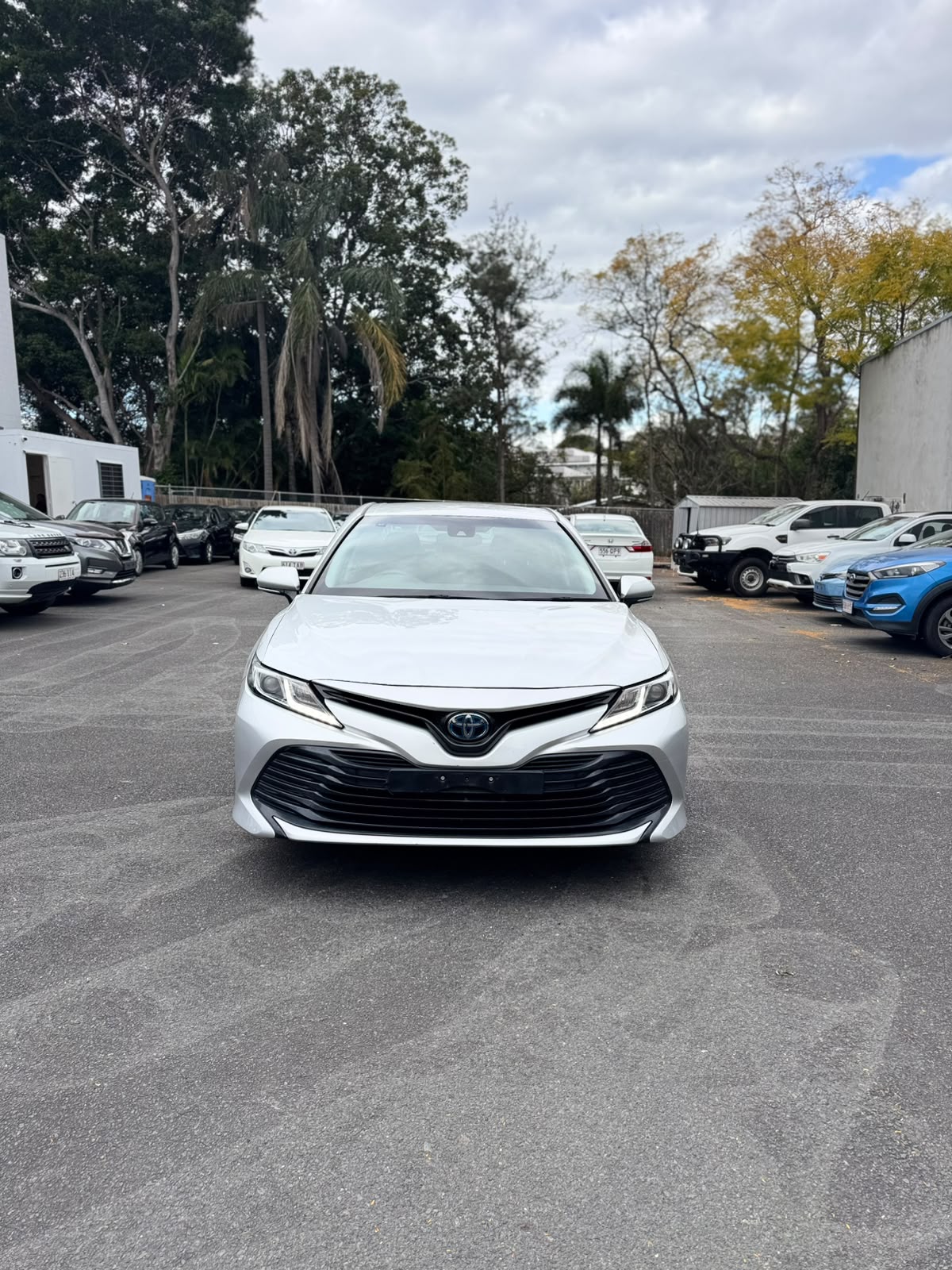 2019 Toyota Camry Ascent Hybrid Sedan in Sunrise.
